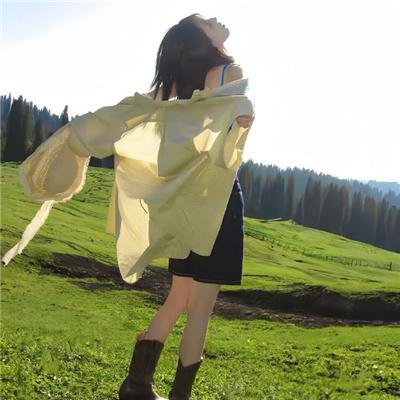 玉楼三凤